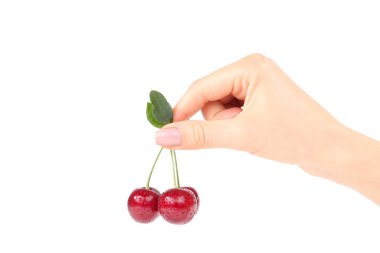 Beyaz backgroun olgun kiraz ve yeşil yaprak ile Kadın el