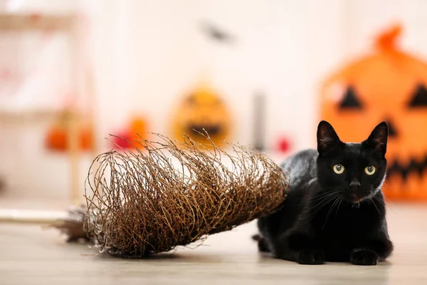 家に横たわっているほうきを持つ黒猫 — ストック写真
