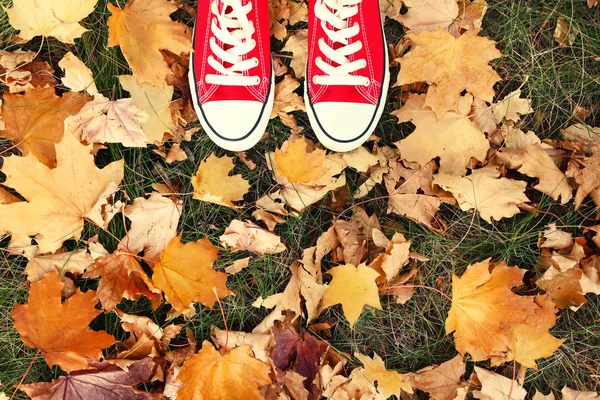 Red sneakers in dry autumn leafs — Stock Photo, Image