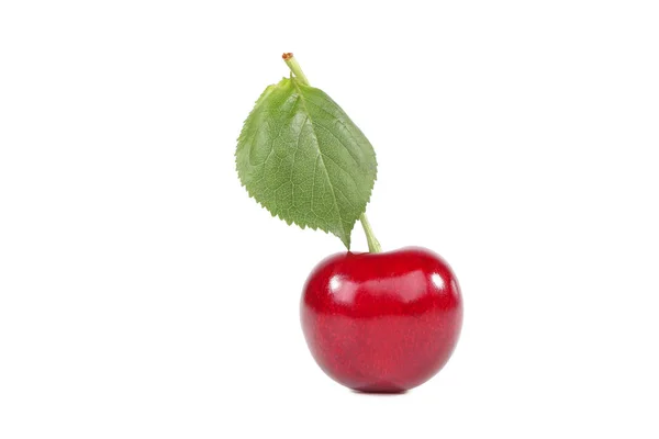 Édes cseresznye zöld levél elszigetelt fehér alapon — Stock Fotó
