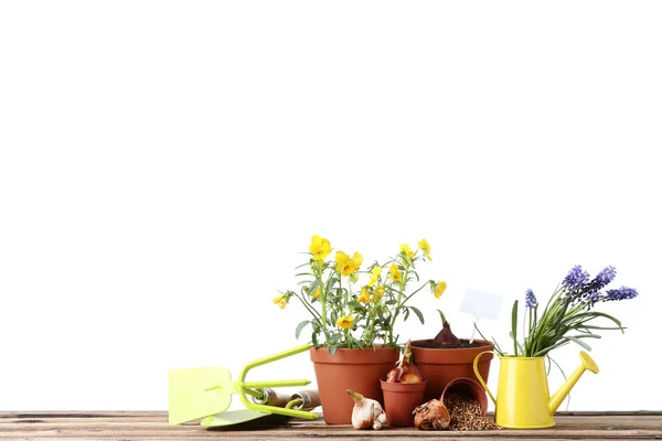 Садові інструменти з квітами на дерев'яному столі — стокове фото