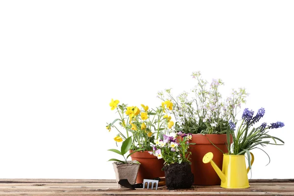 Садові інструменти з квітами в горщиках на дерев'яному столі — стокове фото