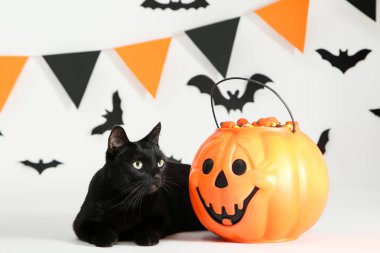 Kağıt yarasalar ve f ile cadılar bayramı kova şekerler ile Siyah kedi