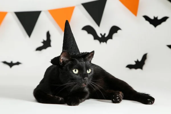 Black cat with paper bats and flags on white background — Stock Photo, Image
