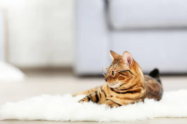 Schöne braune Katze liegt zu Hause auf weißem Teppich — Stockfoto