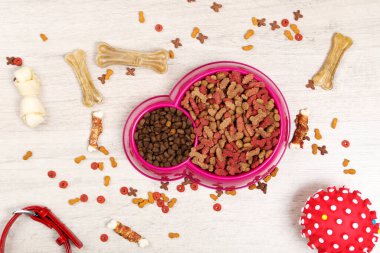 Tasması ve yerde oyuncak topu olan kuru hayvan mamalarını kaseye koy.