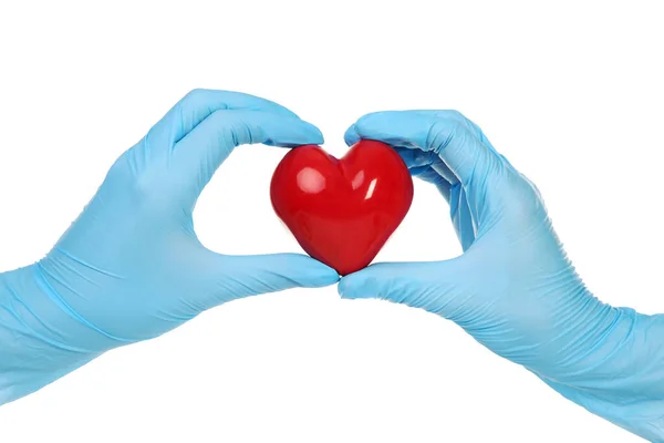 Doctor hands in gloves holding red heart on white background