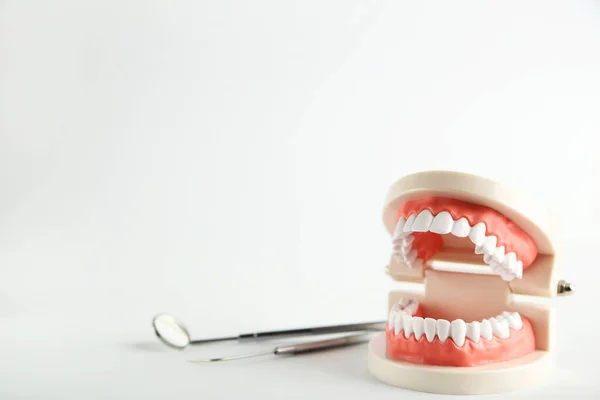 Modello Denti Con Strumenti Dentali Sfondo Grigio — Foto Stock