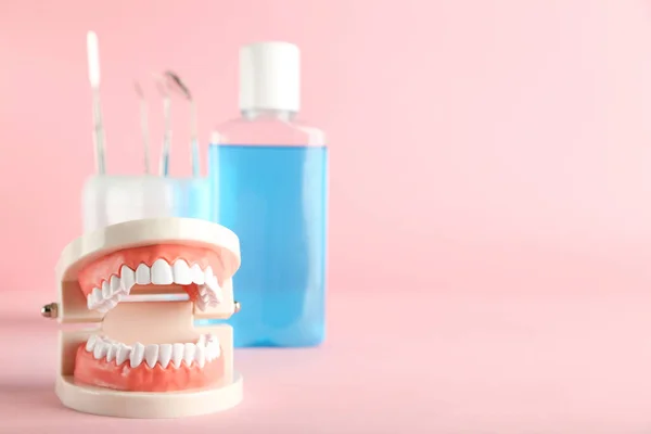Teeth Model Bottle Mouthwash Dental Instruments Pink Background — Stock Photo, Image