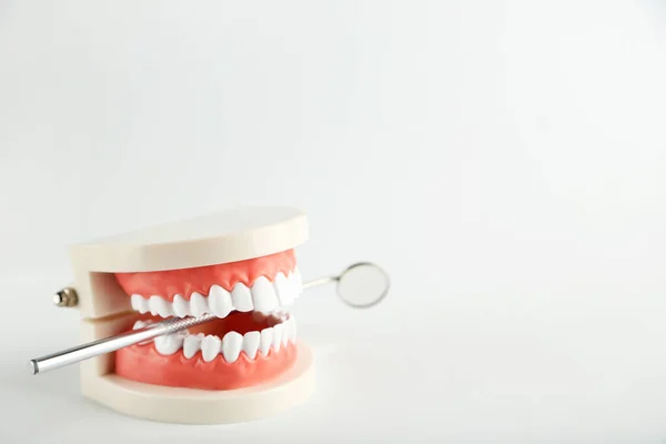 Modelo Dientes Con Espejo Dental Sobre Fondo Gris — Foto de Stock