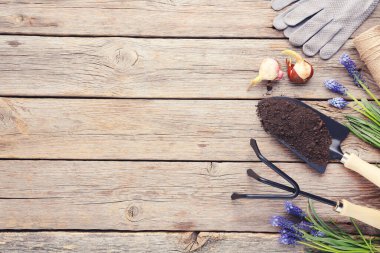 Gri ahşap masada çiçekli bahçe aletleri
