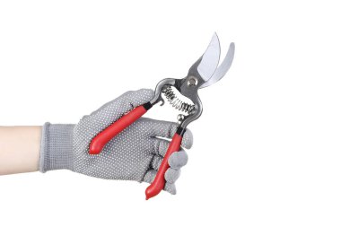 Eldivenle beyaz arka planda bahçe budayıcı