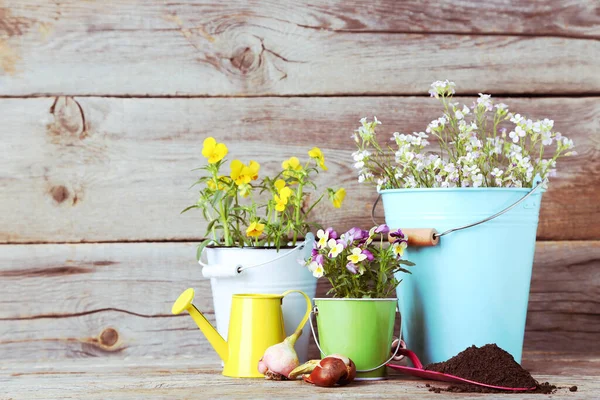 Herramientas Jardín Con Flores Cubos Sobre Mesa Madera —  Fotos de Stock