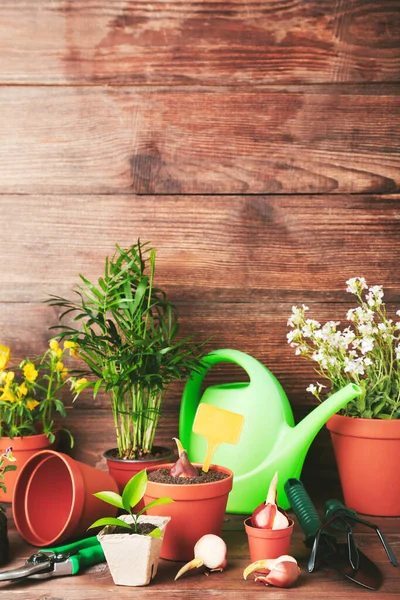 Peralatan Kebun Dengan Bunga Dalam Pot Atas Meja Kayu Cokelat — Stok Foto