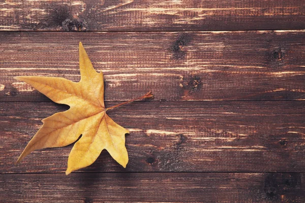 Hoja Arce Otoño Sobre Mesa Madera Marrón —  Fotos de Stock