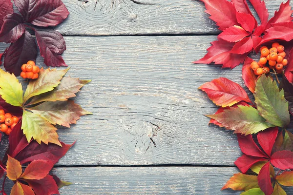 Осенние Листья Ягодами Сером Деревянном Столе — стоковое фото
