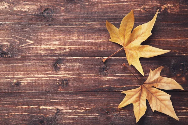 Hojas Arce Otoño Sobre Mesa Madera Marrón —  Fotos de Stock