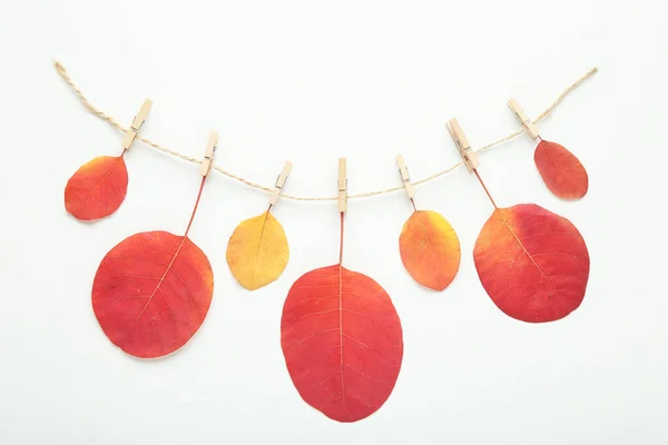 Autumn Leafs Hanging Rope White Background — Stock Photo, Image