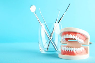 Mavi arkaplanda diş aletleri olan bir model