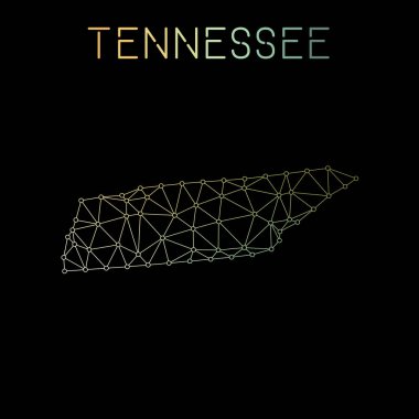 Devlet bize tasarım ağ bağlantıları vektör harita Tennessee ağ haritası soyut Çokgen