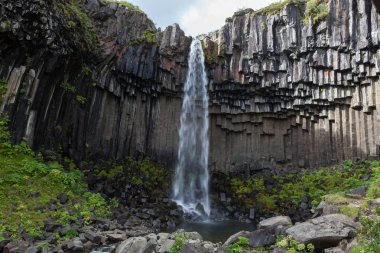 Svartifoss şelale Skaftafell Milli Parkı Vatnajokull buzul İzlanda siyah bazalt taş