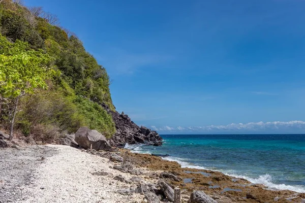 Побережье Острова Апо Зелеными Джунглями Филиппины Версия — стоковое фото