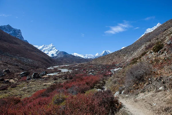 Hermoso paisaje del Himalaya con cordillera en el horizonte y arbustos de agracejo en el valle — Foto de Stock