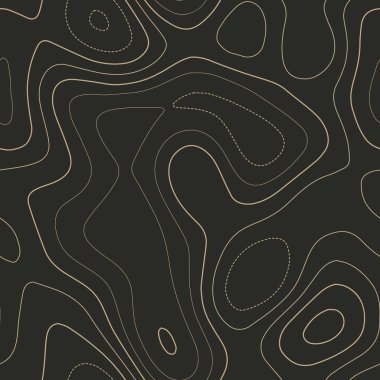 Topografik harita Takdire şayan topografya haritası Dikişsiz tasarım Göz kamaştırıcı fayans izolines desen
