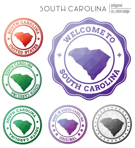 South Carolina badge kleurrijke veelhoekige Amerikaanse staat symbool veelkleurige geometrische South Carolina — Stockvector