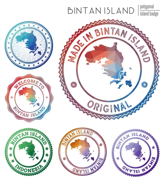 Insignia de la isla de Bintan Colorido símbolo de isla poligonal Geométrico multicolor Logotipos de la isla de Bintan — Vector de stock
