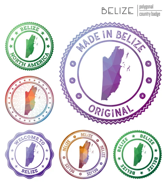 Belize rozeti Renkli çokgen ülke sembolü Çok renkli geometrik Belize logoseti Vektör — Stok Vektör