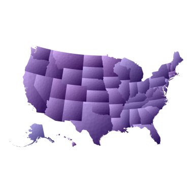 Usa haritası Geometrik stil ülke ana hatları Olağanüstü menekşe vektör illüstrasyonu
