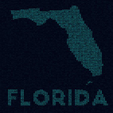 Florida teknoloji haritası. Florida 'nın dijital stil siber haritasında Amerika' nın sembolü.
