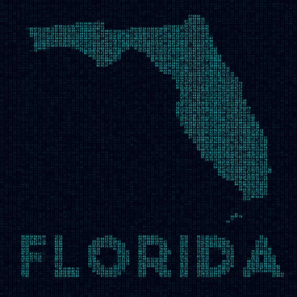 Florida tech map We state symbol in digital style Cyber map of Florida with us state name Classy. — Vector de stock