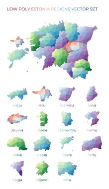 Estonya 'nın düşük poligonal bölgeleri Estonya' nın coğrafi haritası ve dizaynınız için bölgeler Geometrik haritalar
