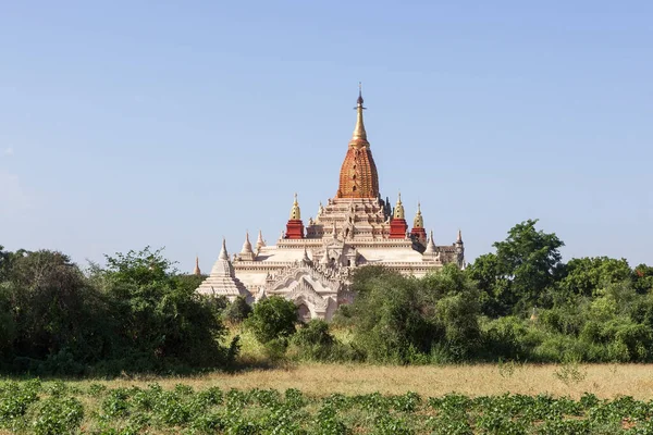 Bagan Ancient pagoda in Bagan Myanmar Old buddhist stupa and green bushes on clear day — Stock Photo, Image