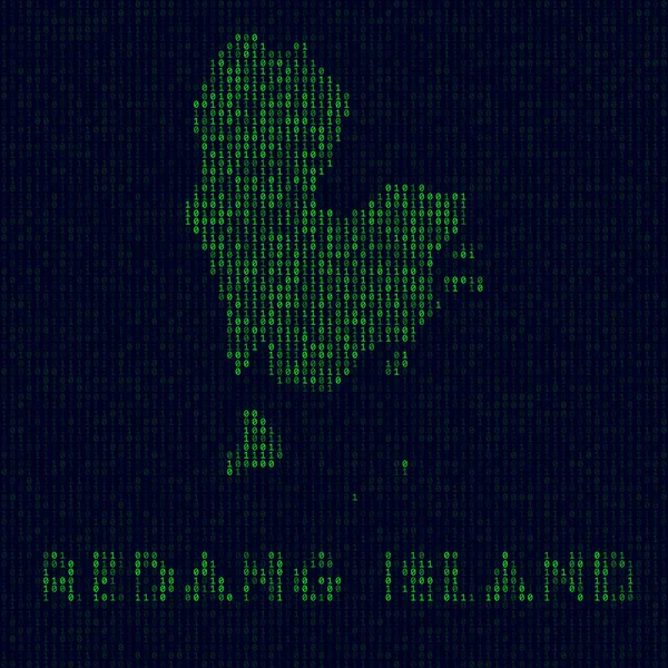 Digital Redang Island logo Island símbolo en estilo hacker Mapa de código binario de Redang Island con — Vector de stock