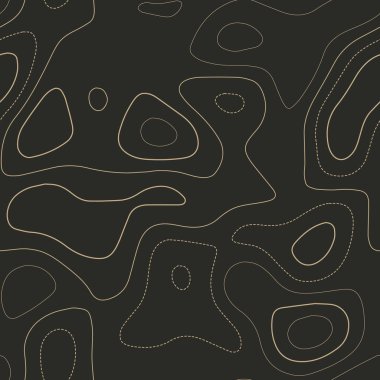 Topografik harita arkaplanı Gerçek topoğrafya haritası Kusursuz tasarım İdeal kaplanabilir izolinler deseni