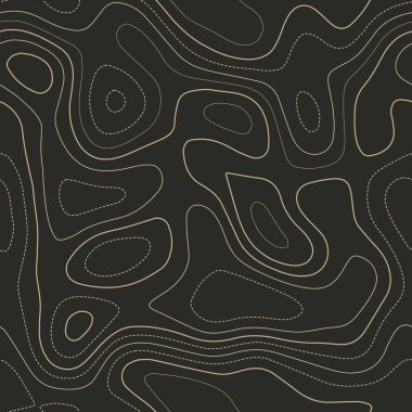 Topografik harita Actual topography map Pürüzsüz tasarım Oldukça fayanslı izolinler desen vektörü