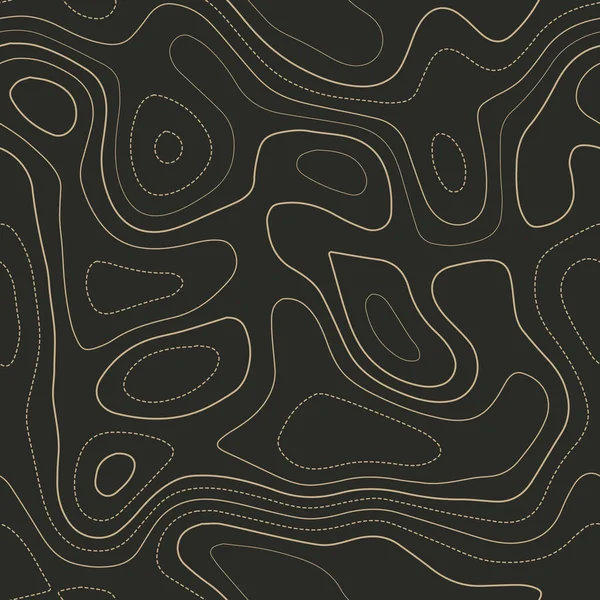 Topographic map Actual topography map Seamless design Pretty tileable isolines pattervector — 스톡 벡터