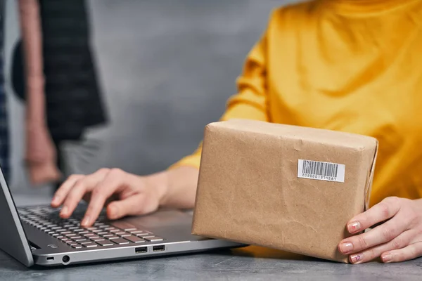 Una donna che manda pacchi usando il suo portatile. Lavorare da casa Foto Stock