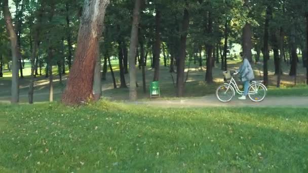 Mujer montar en bicicleta de la ciudad en el parque en la mañana soleada — Vídeos de Stock
