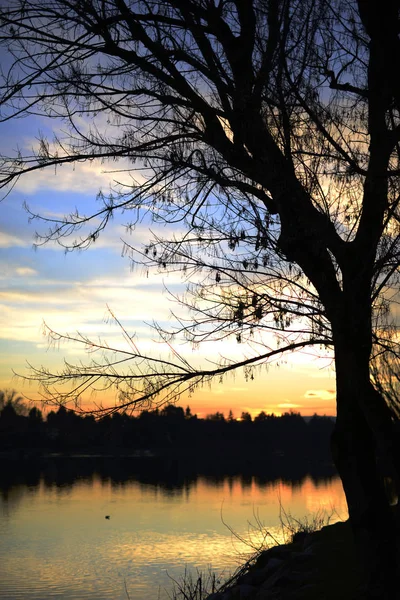 Sesto Calende Sunset Lake — Stock Photo, Image