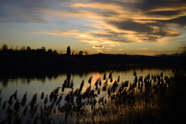 Sesto Calende Sonnenuntergang See — Stockfoto