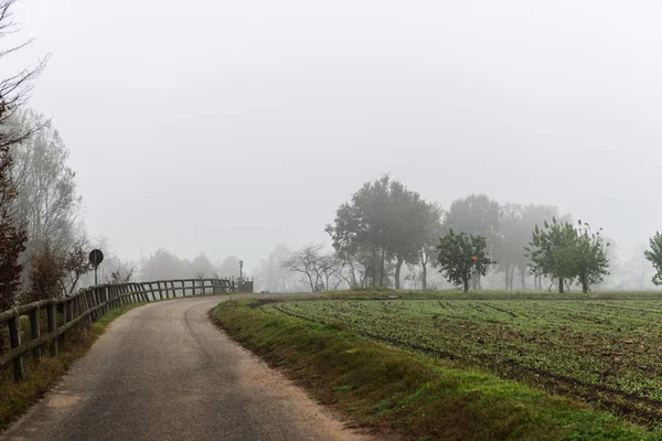 Dokunma Yolu Ile Sis — Stok fotoğraf