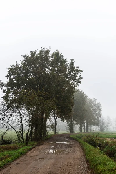 Contry Road Fog — Stock Photo, Image