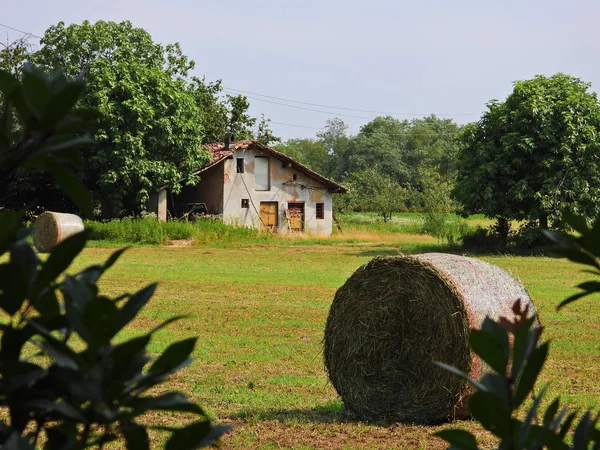 Verlaten Boerderij Met Veld — Stockfoto