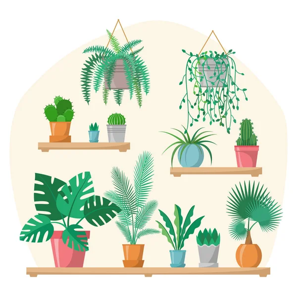 Huis planten collectie in platte stijl met details, indoor Home planten in kleurrijke potten op planken, groene set, Palm, cactus, Fern, Vector groen illustratie — Stockvector