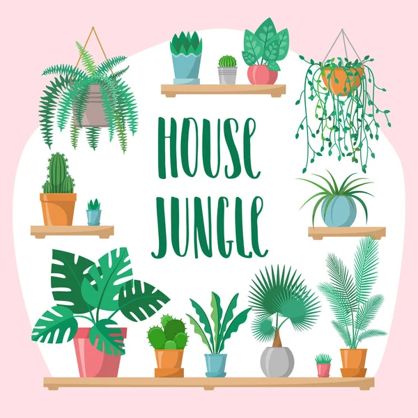 House jungle phrase with home plants collection in flat style, modern calligraphy sign and indoor plants in colorful pots on shelves, green set, vector lettering, palm, cactus, fern, greenery — Stock Vector