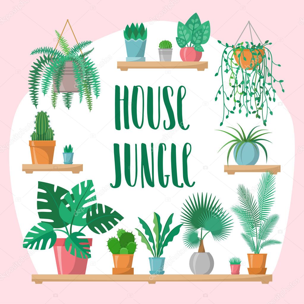 House jungle phrase with home plants collection in flat style, modern calligraphy sign and indoor plants in colorful pots on shelves, green set, vector lettering, palm, cactus, fern, greenery